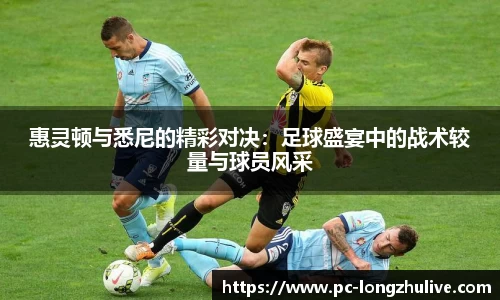 惠灵顿与悉尼的精彩对决：足球盛宴中的战术较量与球员风采
